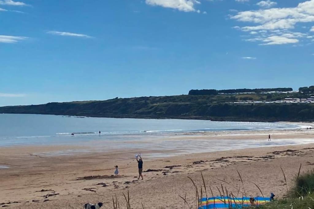 Lovely House & Garden, Short Walk To Town & Beach. セント・アンドルーズ エクステリア 写真